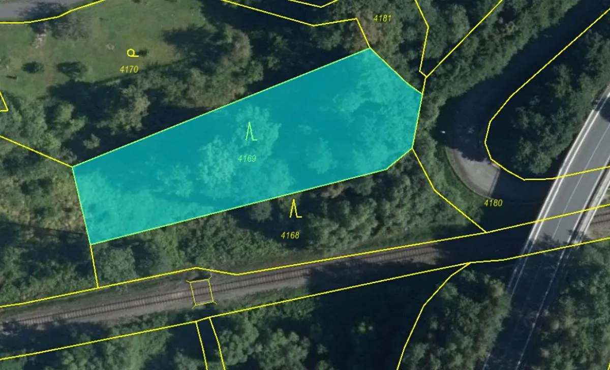 Prodej lesa 1838 m²